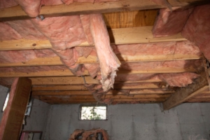 No crawlspace encapsulation can cause wet mold conditions